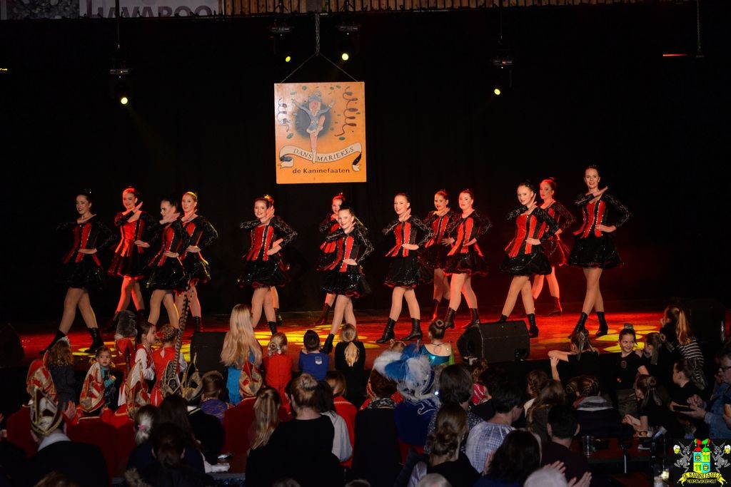 ../Images/Dansmarieke festival 2018 178.jpg